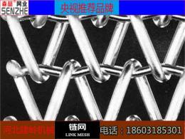 定做链条网带 哪的链条网带质量好 链条网带