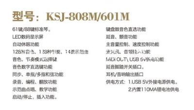 手卷鋼琴 卡斯佳手卷鋼琴批發(fā) 手卷鋼琴價(jià)格