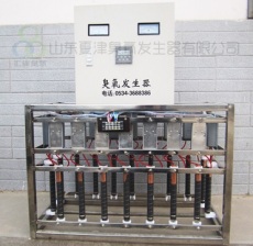 浙江温州内置式空调机组臭氧消毒机