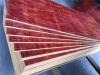 高品质建筑模板 整桉木芯建筑胶合板