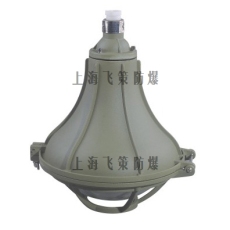 上海飞策 SFD53系列防水防尘防腐灯
