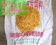 高唐玉米压片多少钱一斤 厂家批发报价