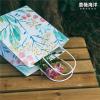 广东惠州博罗县精装包装纸袋加工生产 报价