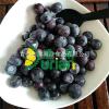 山东青岛市城阳区榴一果智利进口冷冻蓝莓