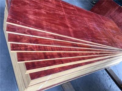 广州建筑工地专用建筑胶合板 桉木小红板
