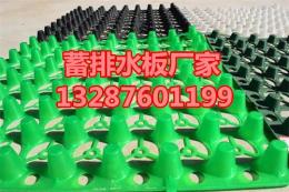 河北蓄排水板 排水板价格