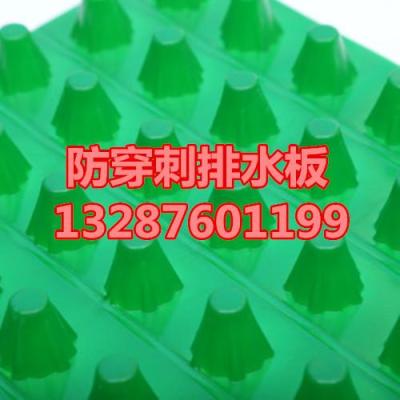 河北导水板 防渗膜厂家