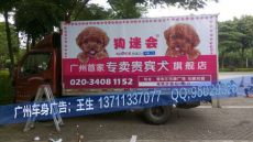 广东广州市黄埔区商务车贴画制作
