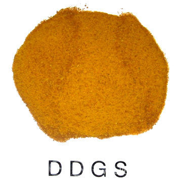 漢江畜禽養(yǎng)殖合作社求購(gòu)小麥麩皮DDGS油康