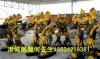 广东深圳玻璃钢变形金刚大黄蜂雕塑