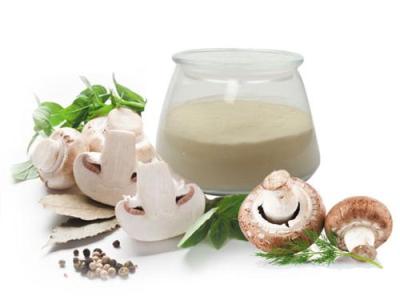 河北保定香菇粉生產(chǎn)