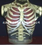 供應(yīng)美國RSD 112型X射線影像 成像 模體