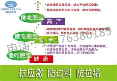 牛腸胃不消化不反芻 肉牛益生菌廠家來幫忙