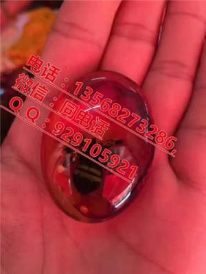 天然植物化石 天然植物化石批發