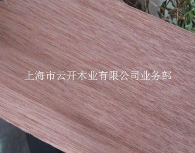 贵州遵义市柳桉木厂家直销价格供应原木板材