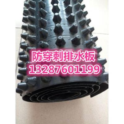朔州排水板 蓄排水板价格厂家