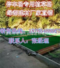 山东济南济南市5公分植草格*塑料植草格价格