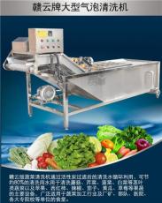 洗茶叶的机器 自动蔬菜清洗机全自动洗菜机