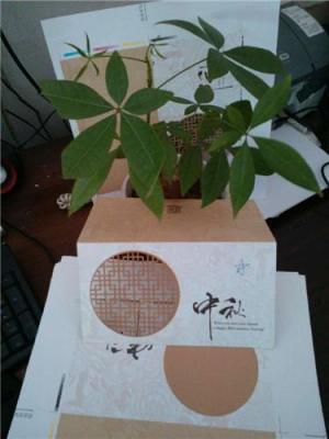 上海纸张激光镂空加工剪纸窗花  加工