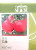 山东潍坊寿光市先正达抗病毒番茄种子-贝佳
