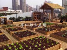 四川成都城市屋顶菜园种植装备找尚鼎丰公司