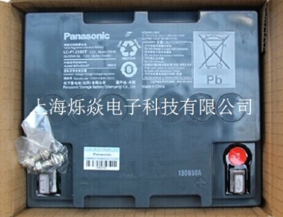 上海松下蓄电池LC-P12100报价 金牌总代理