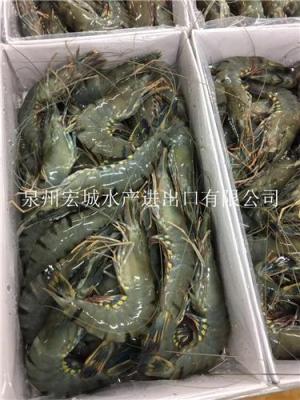 马来西亚进口活冻黑虎虾