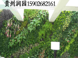 贵阳室内外墙上种植植物形成智能植物墙