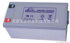 江苏理士蓄电池DJM12200出售