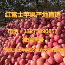 广东2017年红富士苹果
