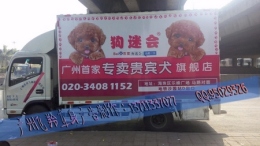 广东 广州客车车身广告贴画制作