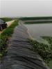 鱼塘藕池用塑料布沼气池黑膜河南安阳林州市
