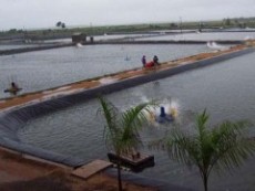 河南周口项城市承接养殖污水处理工程防渗膜