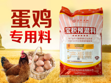 蛋鸡预混料 鸡饲料厂家供应 促进产蛋