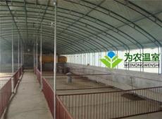 杭州建造生态温室大棚哪家公司好