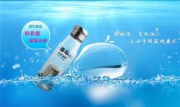 湖南张家界华工科技健康水机价格