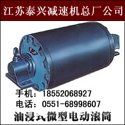 泰精提供BYD*400*650摆线针轮油冷电动滚筒