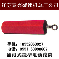 厂家定做YBD*400*800双速油浸式微型电动滚