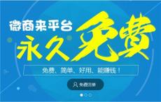分销系统系统开发公司