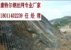 重庆钢丝网 喷浆钢丝网厂家