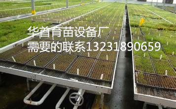 河北衡水安平县华首设备厂专业生产移动苗床