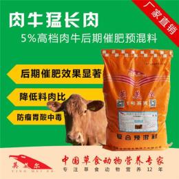 奶公牛育肥技术 奶公牛育肥方法