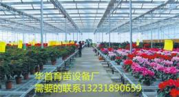 苗床网活动苗床华首育苗设备厂专业生产