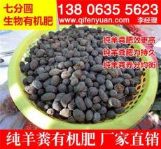 山东省济南市近期纯羊粪天然有机肥价格