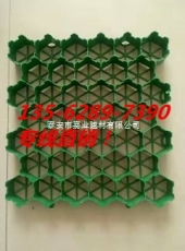 青海省6公分园林绿化植草格 塑料滤水板产