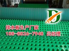 欢迎光临 沧州车库排水板厂家 质量保证