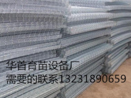 安平厂家专业生产苗床网