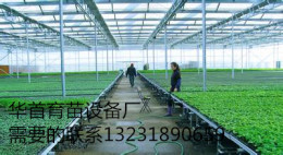 安平厂家专业生产苗床网移动苗床