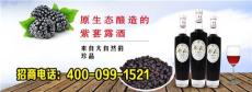桑葚酒生產(chǎn)廠家招商 酒神酒行