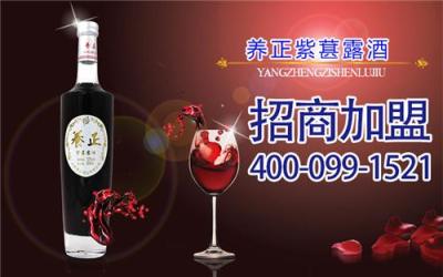 桑葚酒生產(chǎn)廠家招商 酒神酒行